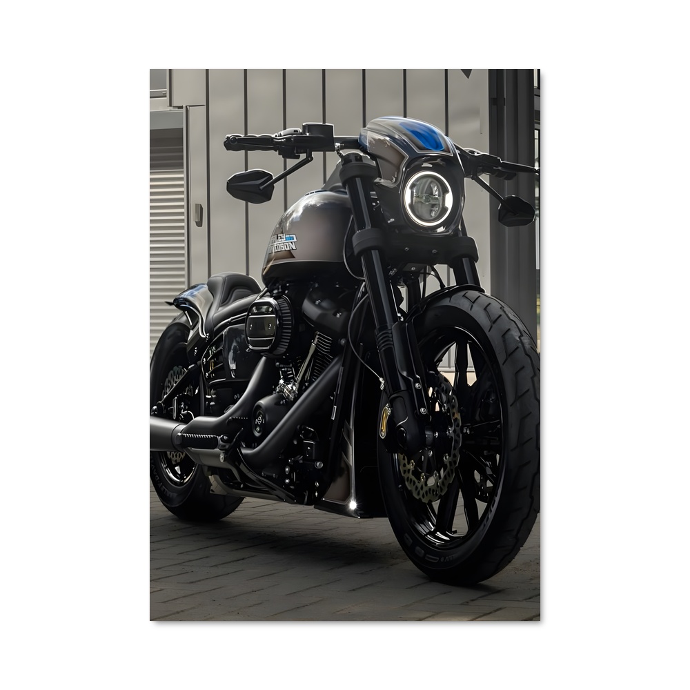 Poster élégant de Low Rider S